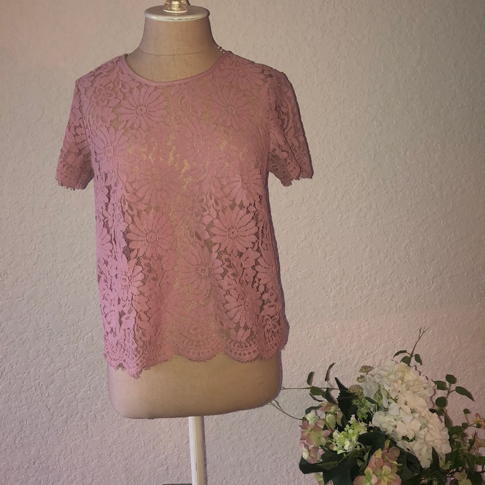 Rebellion mauve lace top